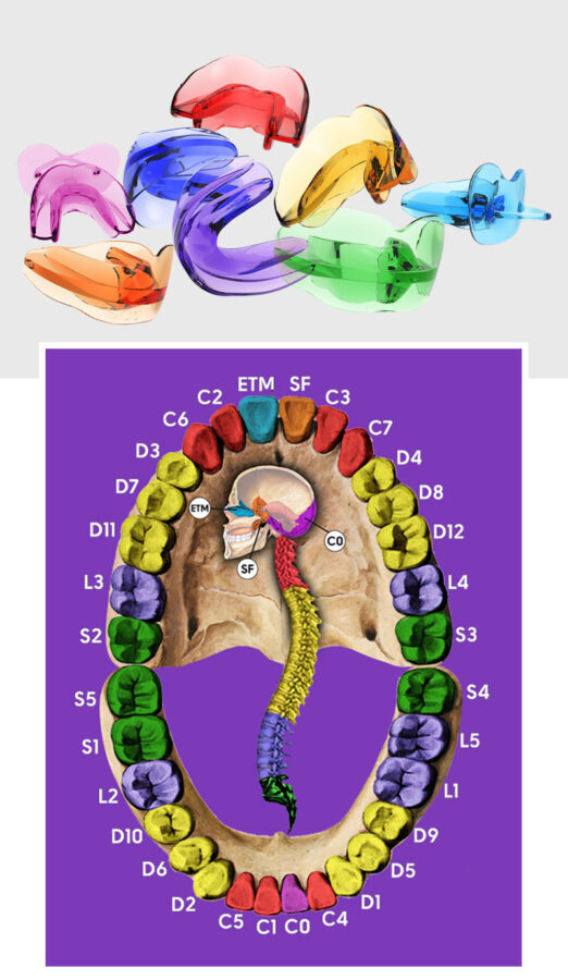 bioattivatori